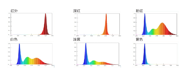 尊龙凯时·(中国)人生就是搏!