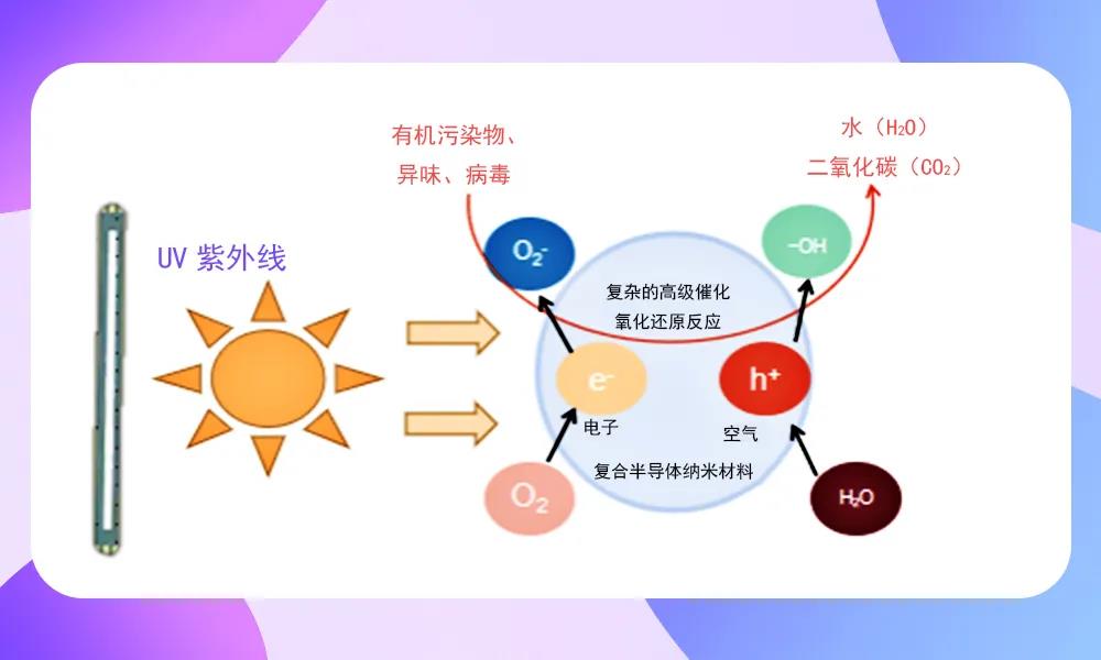 尊龙凯时·(中国)人生就是搏!